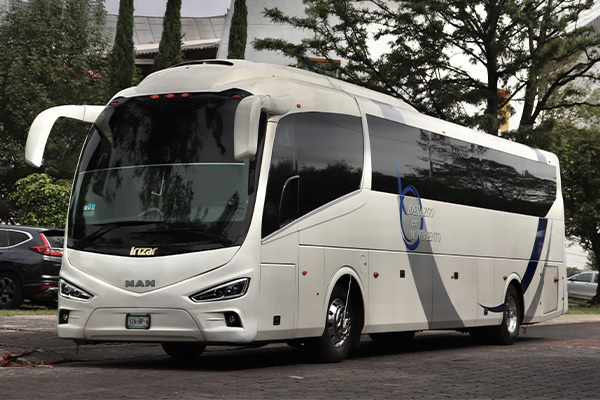 Image of Mini Bus